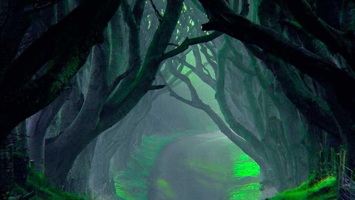 Bajo el Cuidado del Perro Planetario (I)